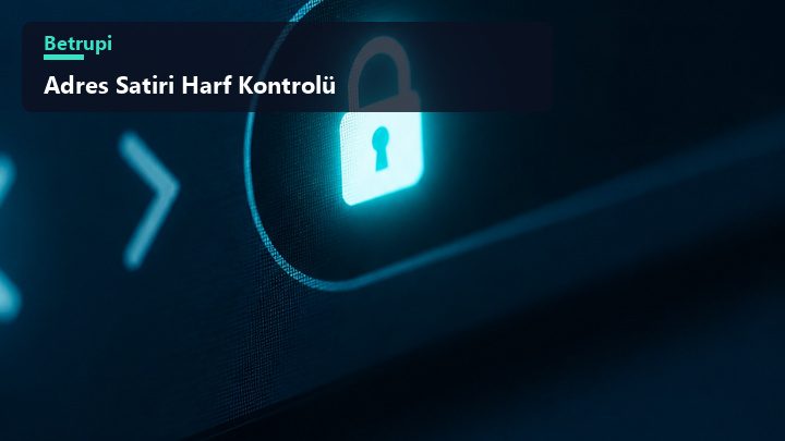 Adres satırındaki benzer görünen harflerin büyütülerek yan yana karşılaştırıldığını gösteren rehber görseli