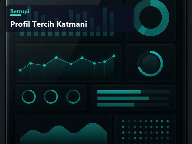 Gizlilik, bildirim ve tema anahtarlarını gösteren profil tercihler katmanı çizimi